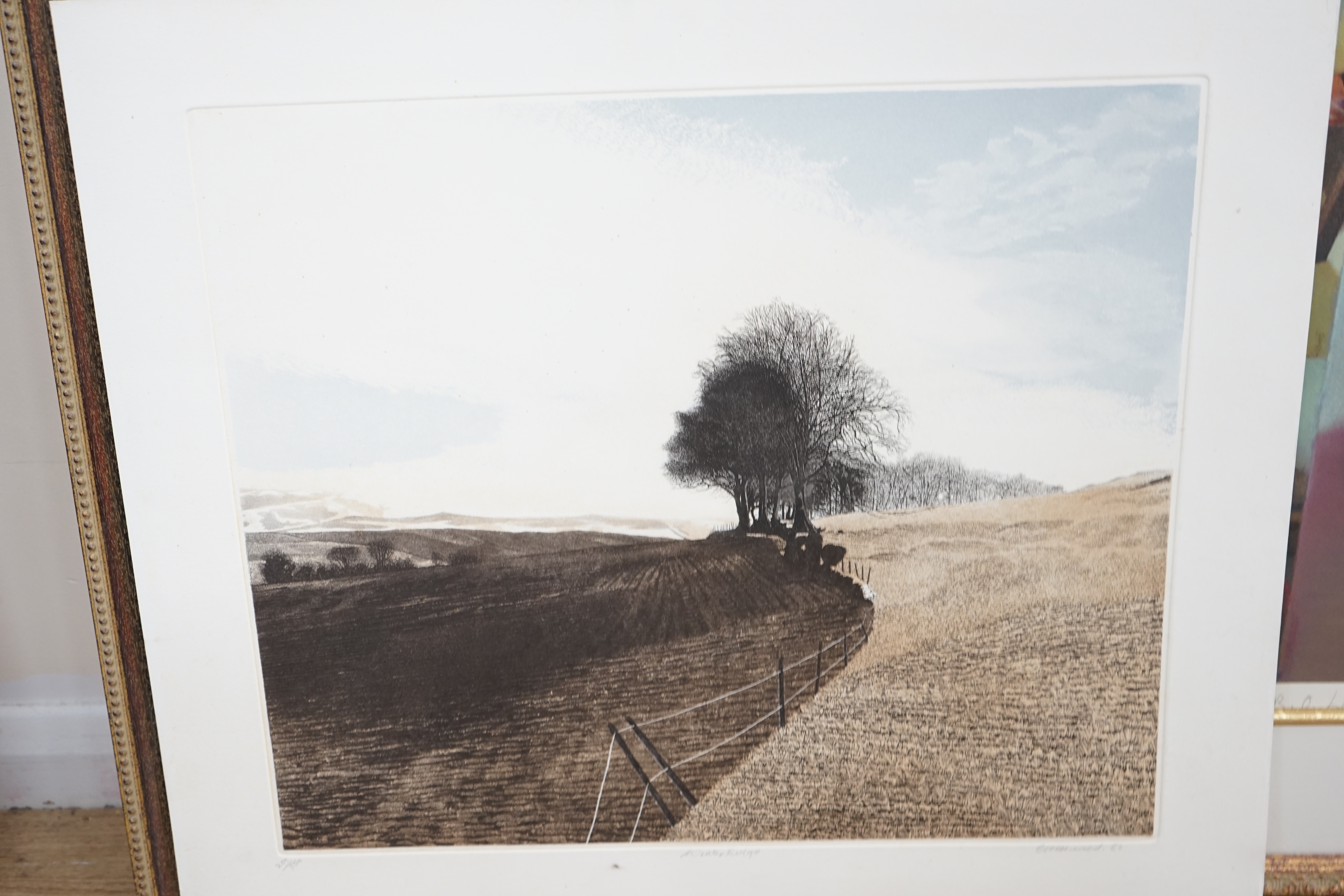 Phil Greenwood (Welsh, b.1943), two colour etchings comprising 'Pine Water' and 'Winter Ridge', each limited edition, signed and dated '82 and '80, largest 55.5 x 62cm, unframed. Condition - poor to fair, some staining a